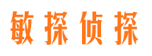 道县市侦探调查公司